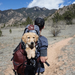 men Travel Backpack