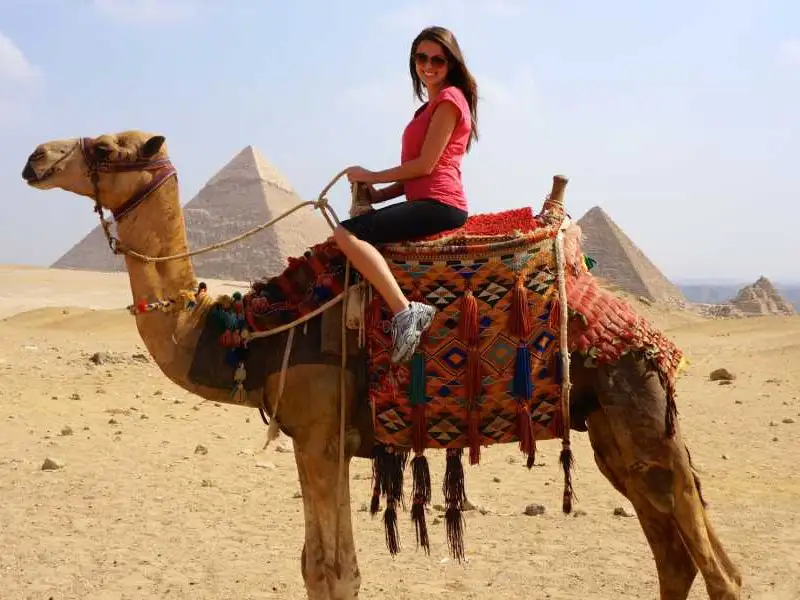 Exclusive Travel Experience : camel ride in the Egypt